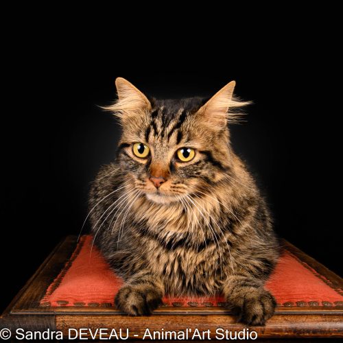 2025-07-03 - Isabelle LOUBIERE - DSC_1564_-2